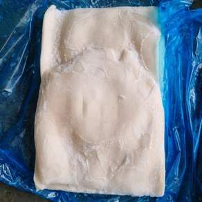 대왕 오징어 무라 20kg 대용량