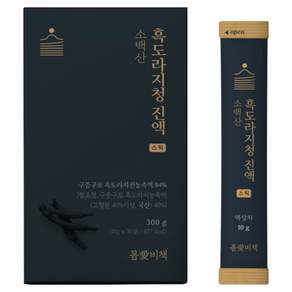 몸애비책 소백산 흑도라지청 진액 스틱 도라지청 30포, 300g, 1박스