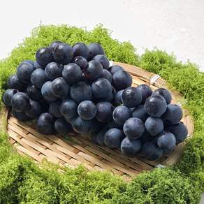 머루포도 진한향과 달콤한맛 산지직송 제철포도 1kg 2kg