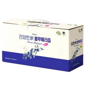 지리산을팜 맛있는 진짜 NFC 갈아만든 블루베리즙 주스