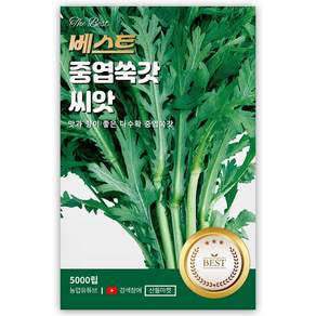 베스트 중엽 쑥갓 씨앗 5000립 맛과 향이 좋은 다수확 쑥갓씨 종자
