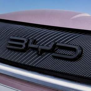 BYD 돌핀 전용 프론트 로고 블랙 커버