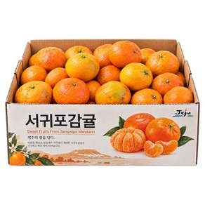 [13Brix이상]제주직송 초고당도 명품 황금향