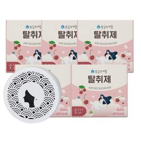 욕실의여왕 다목적 생활 탈취제 본품 블랙체리향