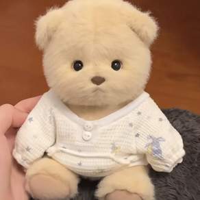 곰 인형 30cm 아기 곰 곰돌이인형 애착인형 관절인형 옷세트