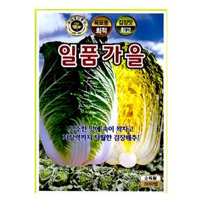 일품가을배추 씨앗 500립 김장 배추 종자 가을 배추 배추 씨앗 육묘용 김장맛 텃밭 주말농장 ks
