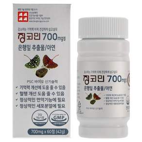 동방제약 징코민 은행잎 추출물 혈액순환 징코 오리지널, 1개, 60회분