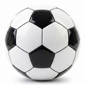 말랑말랑 폭신 스포츠 소프트볼 (축구공 선택1)