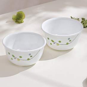 코렐 그린딜라이트 코리안 공기 2P
