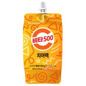 광동 비타500 치어팩 250ml x 10입