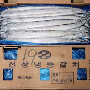 정품정량 제주 은갈치 선동갈치 10kg 1박스 통갈치 냉동갈치 갈치네이션 제주한림수산