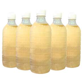 얼음 동동 식혜 / 맛있는 식혜 500ml / 떡드림 식혜