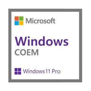 Windows 11 Pro DSP 운영체제
