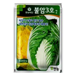 불암3호 김장 씨앗 1000립 종자 속노란 배추 결구 우수 저장성 우수 채소 씨앗 주말 농장 팜한농
