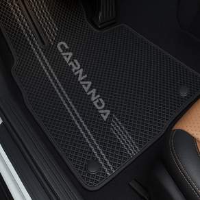 BMW 2시리즈 전차종 TPE 카매트 레터링인쇄서비스 카난다 청소쉬움 자동차바닥매트 방수 코일 벌집 X