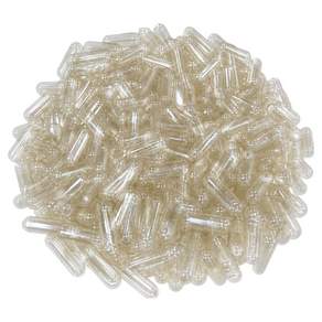 라이프건강 식물성공캡슐(500mg) 식약허가통과