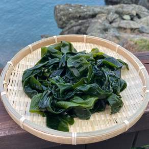 완도산 염장 쌈다시마 원산지 국산 전라남도 완도