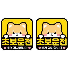 나봄드로잉 1+1 자체디자인 초보운전 자석 스티커 강아지 휘바