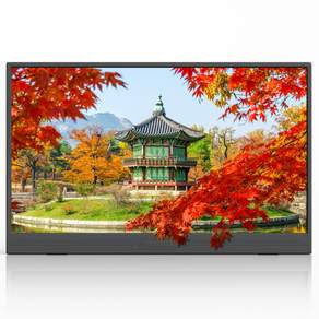 ZSUS 휴대용 모니터 게이밍모니터 15.6inch IPS FHD