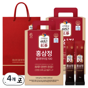 1+1 홍삼정 올데이타임 100 대용량+쇼핑백