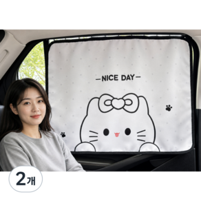 이중암막 해킷 차량 햇빛가리개 뒷좌석 레일형 자동차 커튼