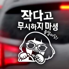 제제데코 자동차스티커 작다고무시하지마셩총알이닷