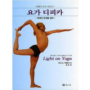 선요가, B.K.S.아헹가