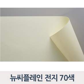 종이문화 뉴씨플레인 120g 전지 낱장 70색