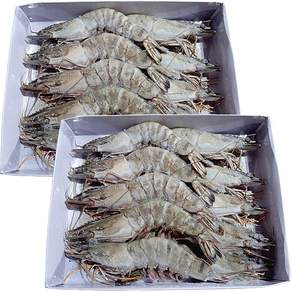 힘찬푸드 블랙타이거새우 대하 10미 1+1