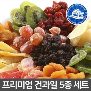 장수왕 프리미엄 건과일 5종 세트 (건망고 건자두 건파인애플 건살구 건키위) 1500g / 답례품 고급 과일 선물