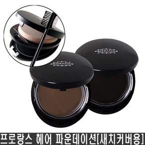 프로랑스 헤어 파운데이션 9.5g