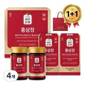 홍삼정 올데이타임 홍삼진고 홍삼농축액