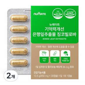 뉴메이트 기억력개선 은행잎추출물 징코빌로바 1박스