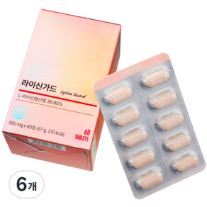라이신가드 재발예방 L-LYSINE 라이신
