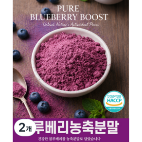 이번생은 블루베리 농축 분말 가루 HACCP인증