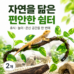 데이베크 게코 도마뱀 백업 넝쿨 놀이터 나뭇잎 인테리어 장식
