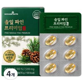 솔잎 파인 송침유 프리미엄