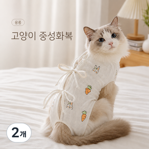 융풍 토끼 당근 패턴 고양이 중성화복 수술 후 환묘복 부드러운 리본 케어웨어