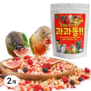 동결건조 과일 과과동 앵무새 간식