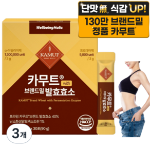 웰빙홀릭 카무트효소 분말 100% 식약청인증 130만 발효효소 골드 곡물 가루 HACCP
