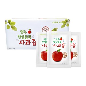 햇살듬뿍 사과즙, 100ml, 30개
