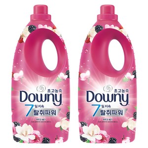 다우니 초고농축 7일지속 탈취파워 섬유유연제 목련과 베리 본품, 2L, 2개