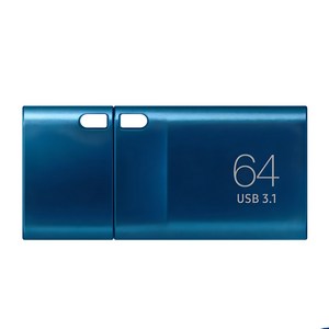 삼성전자 Flash Drive Type C USB 메모리 MUF-64DA/APC, 64GB, 1개