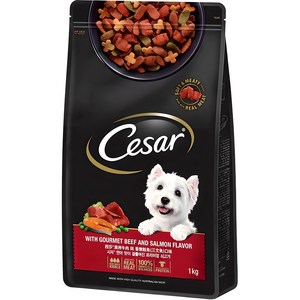 시저 어덜트 강아지 건식사료, 소, 1kg, 1개 골드박스 특가