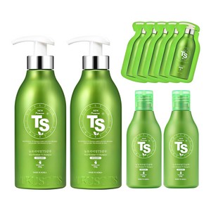 TS 뉴프리미엄 기능성샴푸 500g 2p + 100g 2p + 6g 5p 세트, 1개