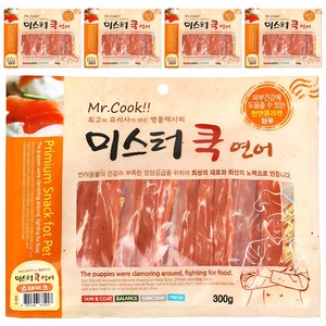 미스터쿡 강아지 스테이크 건조간식, 연어, 160g, 5개