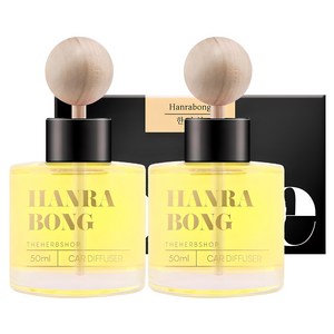 더허브샵 라홈 차량용 디퓨저 50ml 본품, 한라봉, 2개