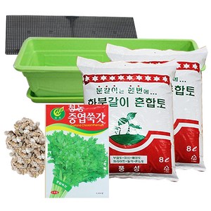 행복한세상 텃밭가꾸기 대 그린 쑥갓, 1개