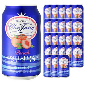초정탄산수 복숭아, 355ml, 24개