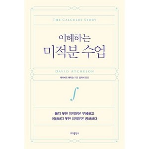 이해하는 미적분 수업 : 풀지 못한 미적분은 무용하고 이해하지 못한 미적분은 공허하다, 바다출판사, 데이비드 애치슨